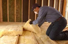 Professional Insulation Services in Clayton, GA